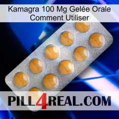 Kamagra 100 Mg Gelée Orale Comment Utiliser levitra1